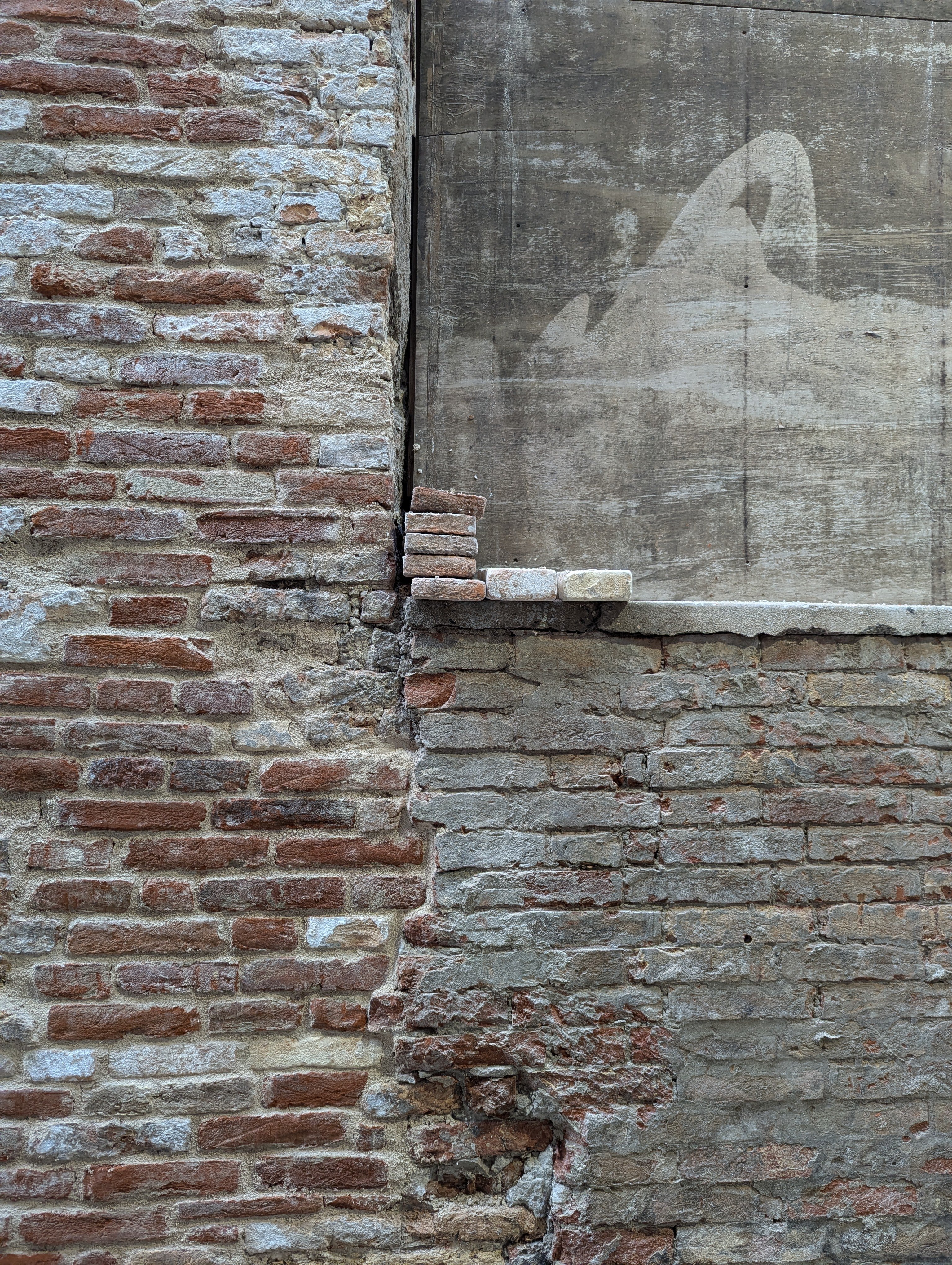 PXL_20250207_110832710.RAW-01.COVER (1)