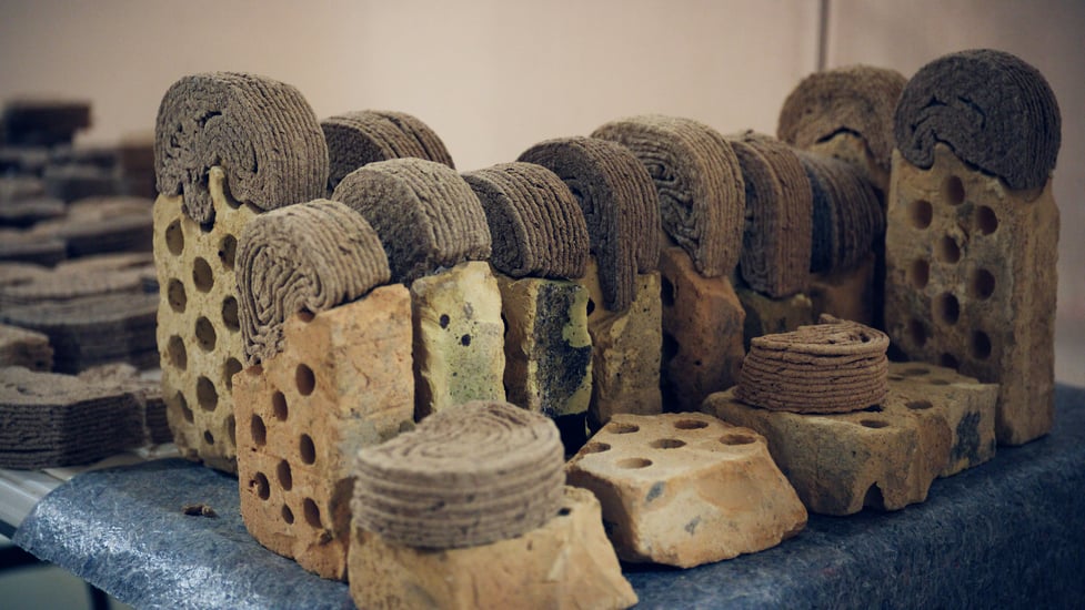 PXL_20250207_110832710.RAW-01.COVER (1)