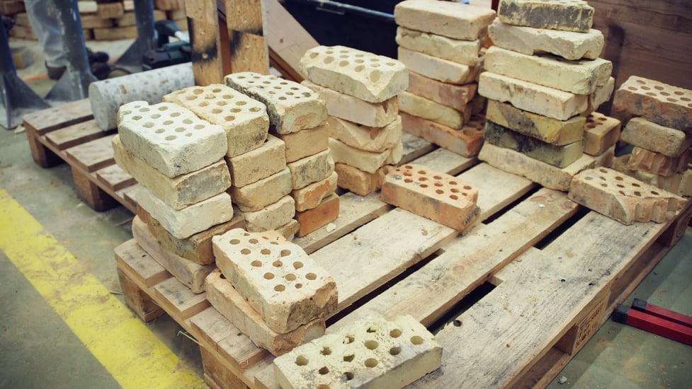 PXL_20250207_110832710.RAW-01.COVER (1)