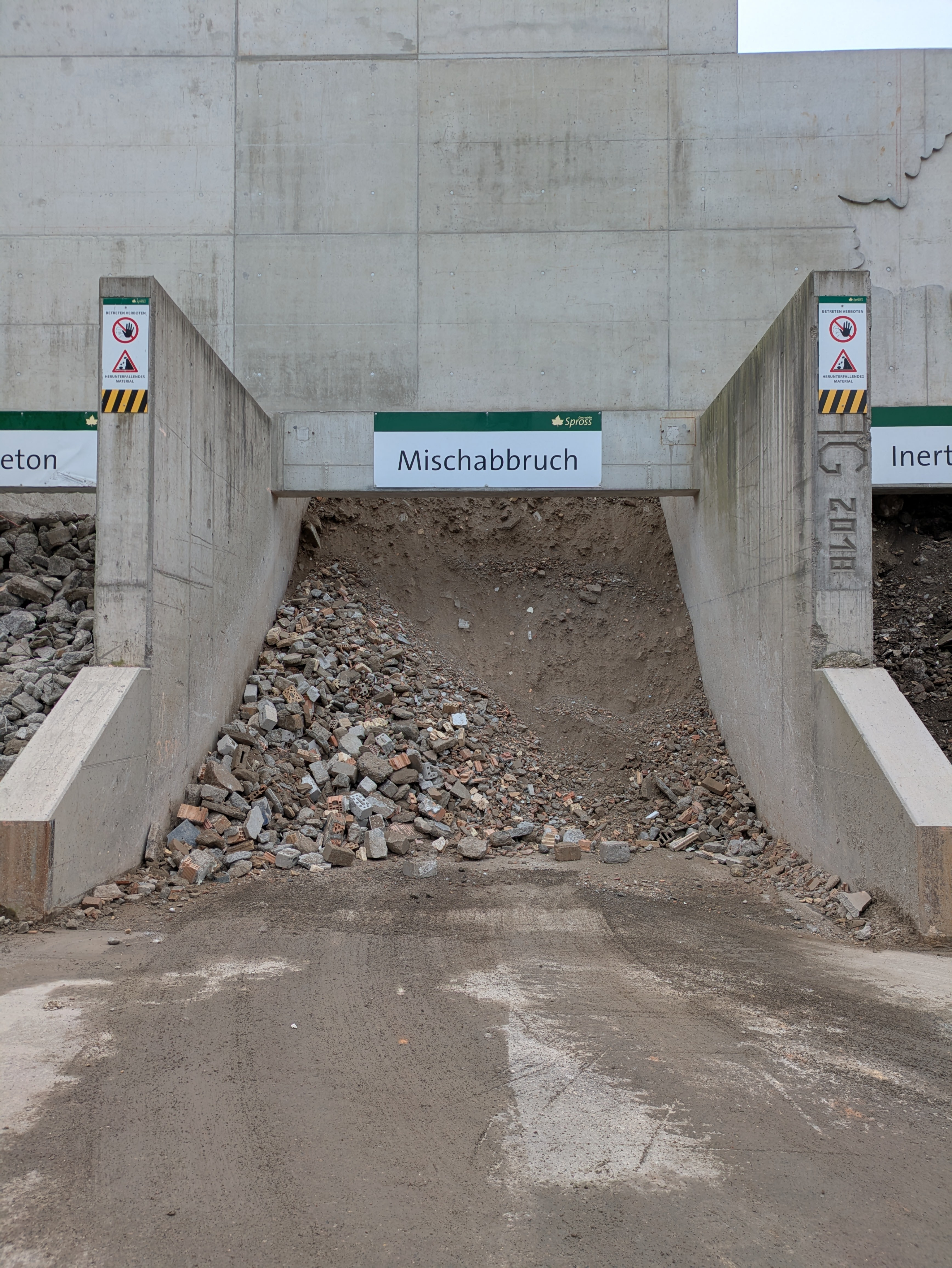 PXL_20250204_094242971.RAW-01.COVER 1