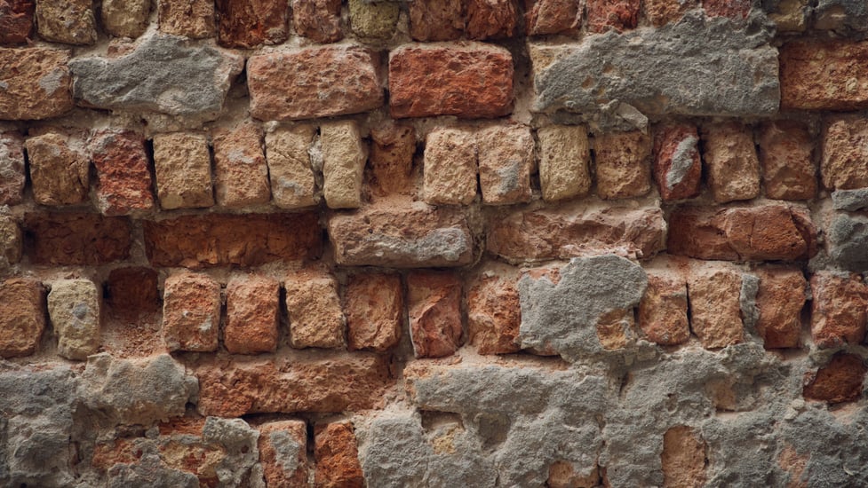 PXL_20250207_110832710.RAW-01.COVER (1)